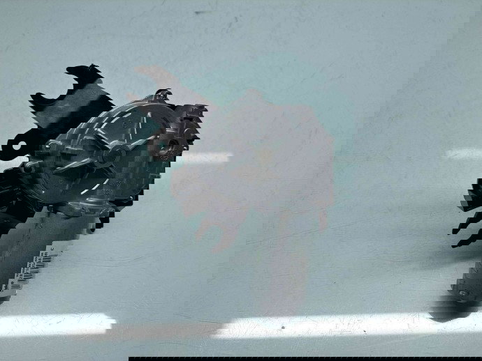  Motoras stergator haion  Dacia Sandero 2 [Fabr 2012-2020] 287105483R