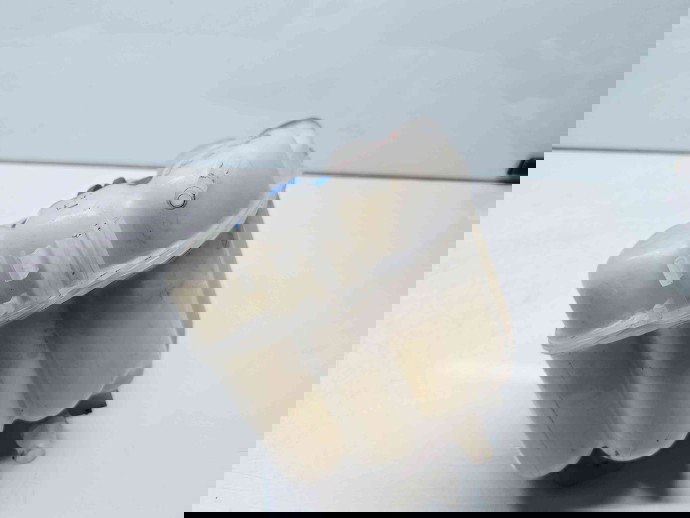 Vas expansiune PORSCHE Cayenne (92A) [Fabr 2010-2017]