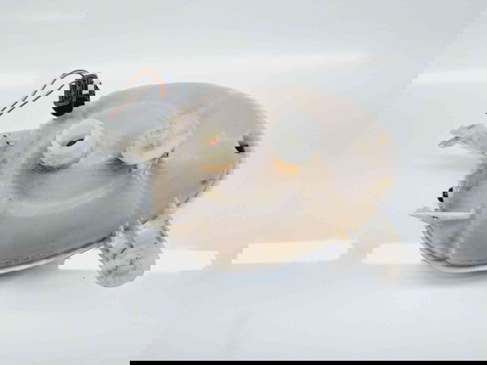 Vas expansiune Mercedes Clasa C Combi (S205) [Fabr 2015-prezent]