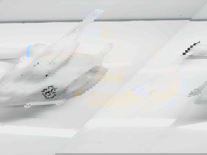  Vas lichid parbriz Ford Mondeo 5 Hatchback [Fabr 2014-2022] DS73-17B613-AF