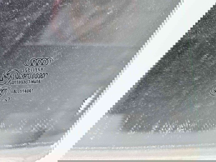 Geam usa dreapta spate Audi A5 Sportback (8TA) Facelift [Fabr 2009-2015]