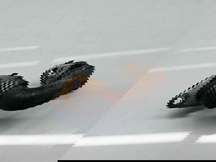 Conducta gaze Volkswagen Golf 6 (5K1) GTD [Fabr 2009-2013] 03G131521AM 2.0 TDI CBBB 125KW / 170CP