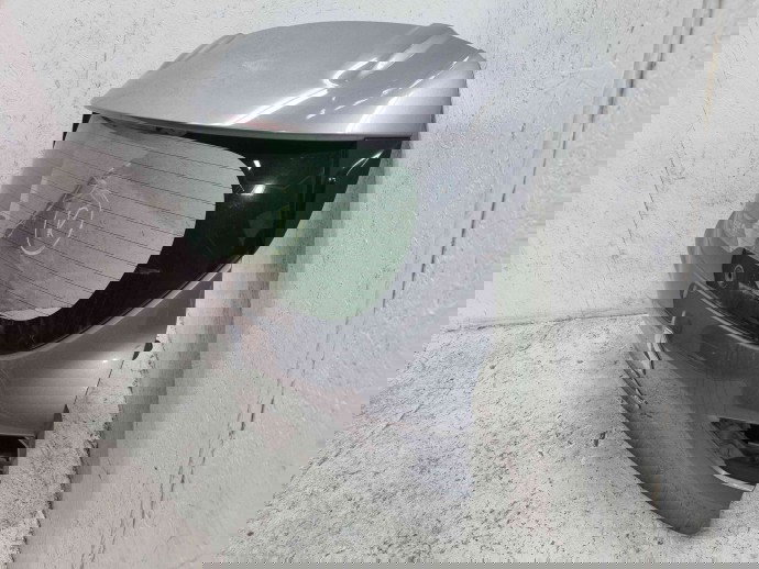 Haion Renault Clio 4 (B98) Hatchback [Fabr 2012-2020]