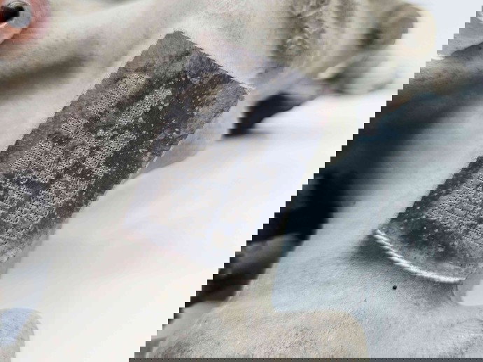 Turbina MAZDA 6 (GJ1) Facelift [Fabr 2018-2021] SH18-13700-B 2.2 SkyActiv-D 135KW / 184CP