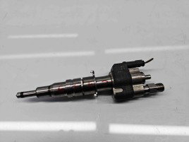 Injector Bmw 3 Coupe (E92) [Fabr 2005-2011] 7589048 2.0 N43B 125KW / 170CP