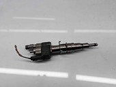 Injector Bmw 3 Coupe (E92) [Fabr 2005-2011] 7589048 2.0 N43B 125KW / 170CP