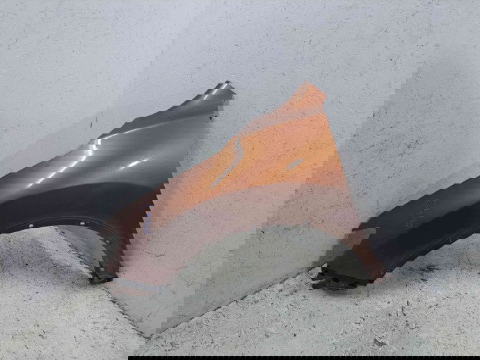 Aripa stanga fata Nissan X-Trail (T32) [Fabr 2013-prezent] CAE