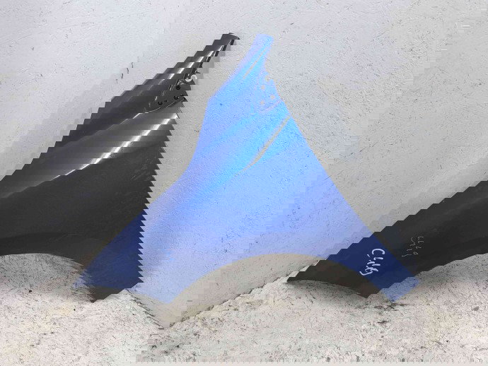 Aripa stanga fata Renault Megane 3 (B95) [Fabr 2008-2016] Blue Extreme