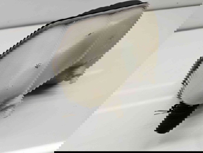 Vas expansiune Mercedes Clasa E (W211) [Fabr 2002-2009] 2115000049