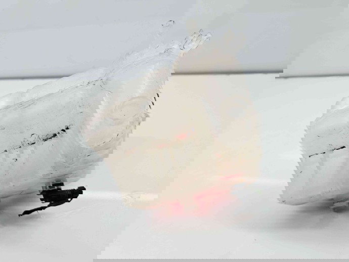 Vas expansiune Opel Zafira C (E75) Combi [Fabr 2011-2017] 13283712