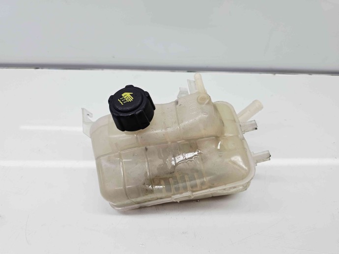 Vas expansiune Renault Megane 3 (B95) [Fabr 2008-2016] 217100005R