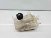 Vas expansiune Renault Megane 3 (B95) [Fabr 2008-2016] 217100005R