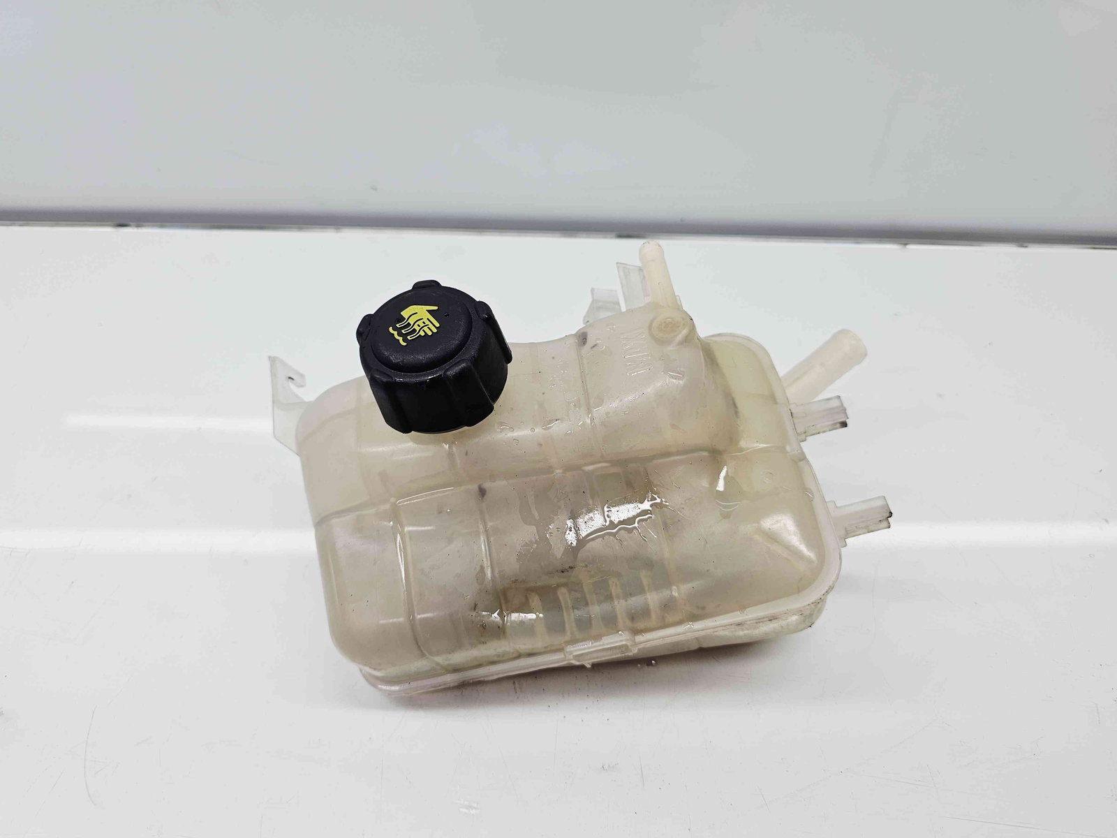 Vas expansiune Renault Megane 3 (B95) [Fabr 2008-2016] 217100005R - imagine 1