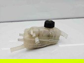Vas expansiune Renault Megane 3 (B95) [Fabr 2008-2016] 217100005R