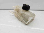 Vas expansiune Renault Megane 3 (B95) [Fabr 2008-2016] 217100005R