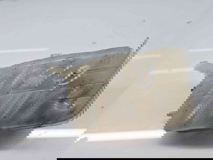 Vas expansiune Renault Megane 3 (B95) [Fabr 2008-2016] 217100005R