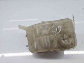 Vas expansiune Renault Megane 3 (B95) [Fabr 2008-2016] 217100005R