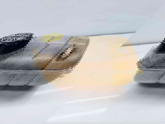 Vas expansiune Opel Mokka [Fabr 2012-2019] 95380033