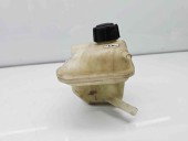 Vas expansiune Nissan Qashqai Facelift (2) [Fabr 2009-2013] 21711JD50B