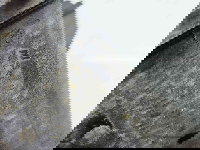 Vas expansiune Bmw X1 (E84) [Fabr 2009-2015] 7810592