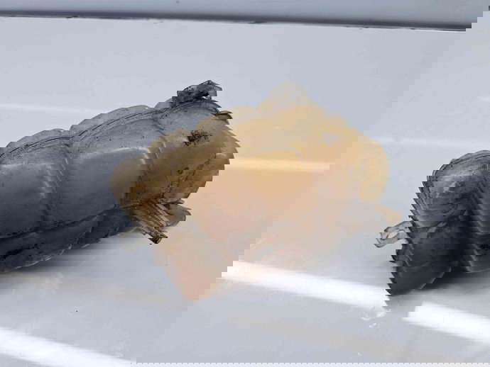 Vas expansiune Ford Mondeo 5 Hatchback [Fabr 2014-2022] DG93-8A080-B