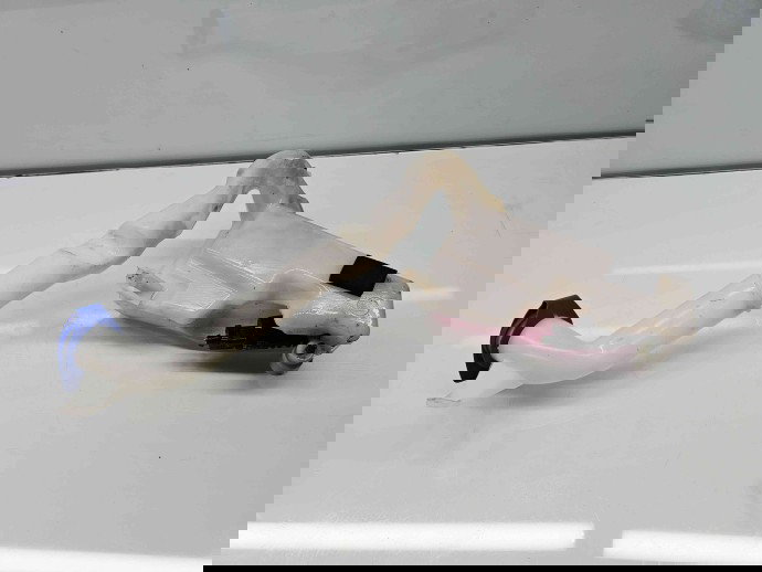  Vas lichid parbriz Seat Ibiza 5 (6J5) FR [Fabr 2008-2017] 6Q0955453N