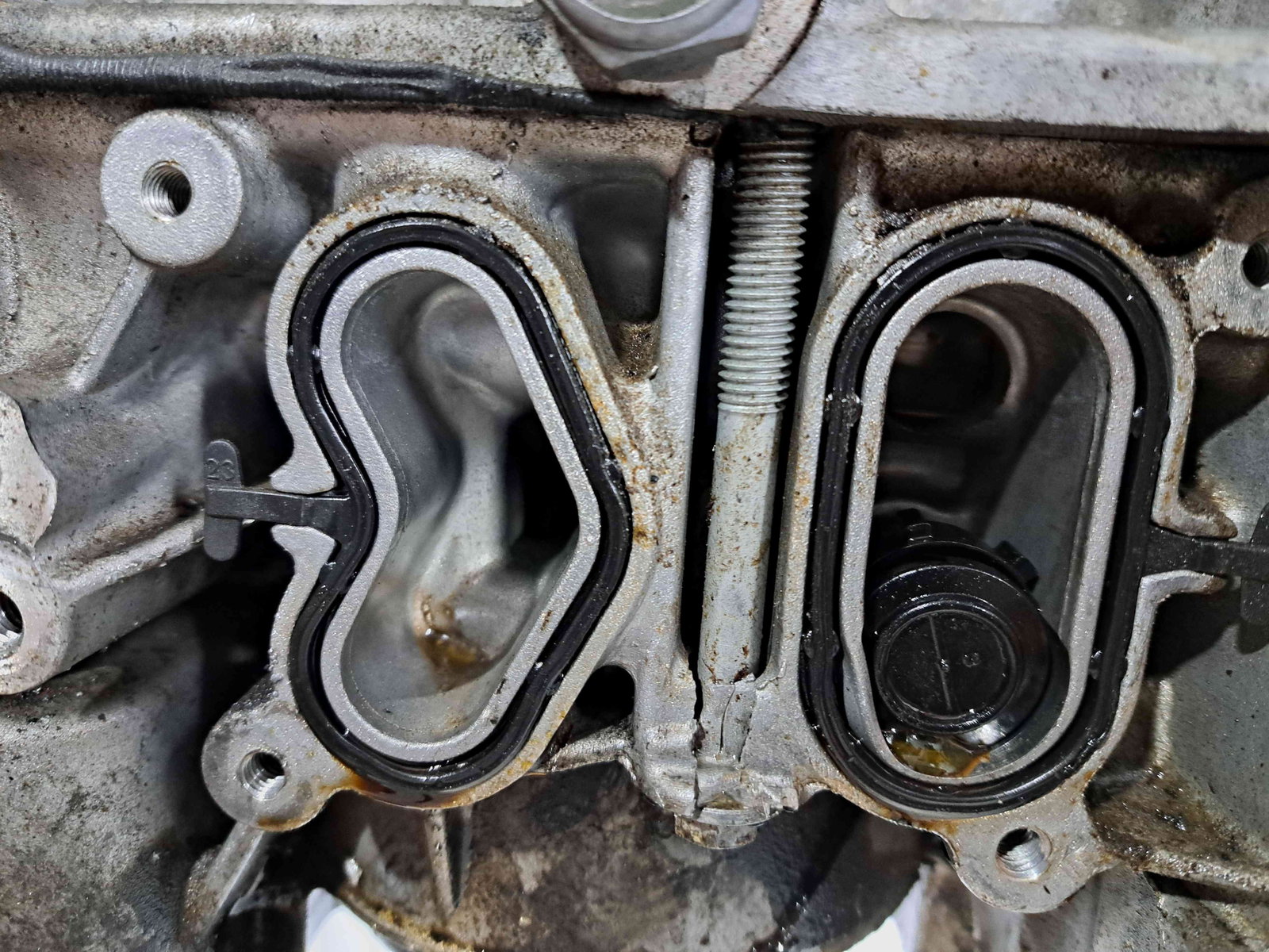 Motor complet ambielat Dacia Sandero 3 [Fabr 2020-prezent] H4D E470 1.0 TCe H4D470 67KW / 91CP - imagine 6