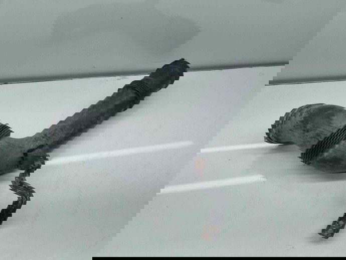 Tub admisie aer  Seat Leon (1P1) [Fabr 2005-2011] 1K0129618AJ 1.6 Benz BSE 75KW / 102CP