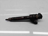 Injector Bmw X1 (E84) [Fabr 2009-2015] 7798446 2.0 N47D 105KW / 143CP