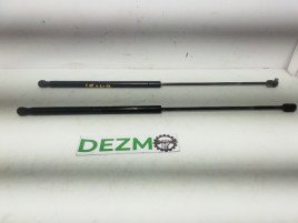 Amortizoare haion Fiat Croma 1.9 JTD 0226570460N 2005-2010