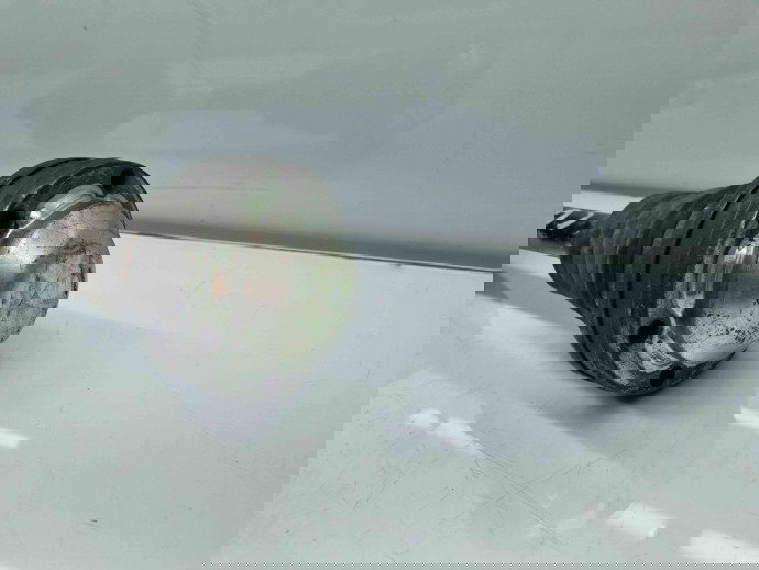 Planetara stanga fata Volkswagen Golf 6 (5K1) GTD [Fabr 2009-2013] 1K0407271HM 2.0 TDI CBBB 125KW / 170CP