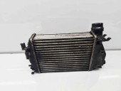 Radiator intercooler  Nissan Qashqai (2) [Fabr 2013-2017] 14461-4EA0A 1.5 DCI K9K 81KW / 110CP