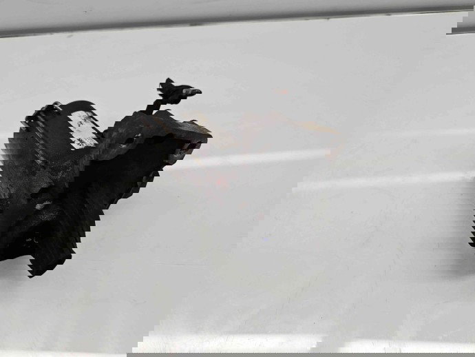  Electromotor 11 dinti  Citroen C5 (III) [Fabr 2008-2017] 688268480 1.6 HDI DV6DTED68KW / 92CP