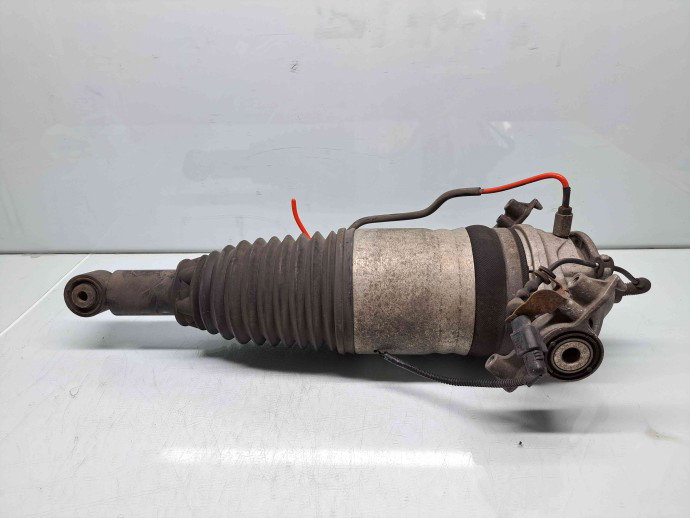 Amortizor stanga spate PORSCHE Cayenne (92A) [Fabr 2010-2017]3.0 TDI CRCA 180KW / 245CP