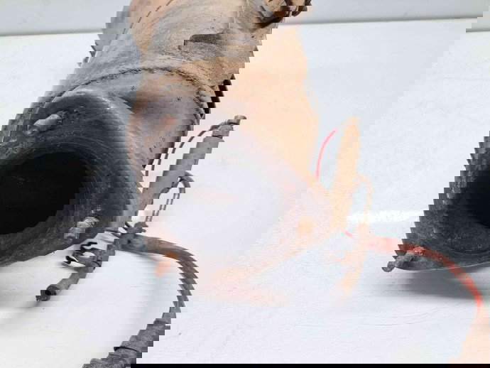 Catalizator Peugeot Boxer 3 [Fabr 2006-2020] 1366659080 2.2 HDI 4HU 81KW / 110CP