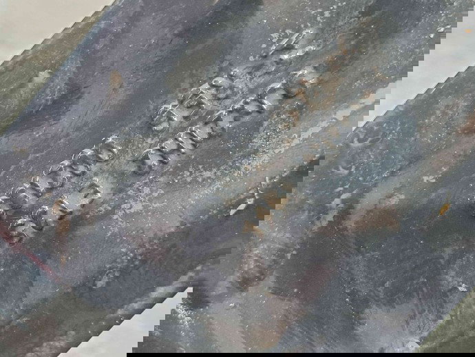 Janta aliaj Audi A7 Sportback (4GA) [Fabr 2011-2017] 5X112, R21