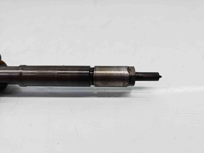 Injector  Ford C-Max 1 [Fabr 2007-2010] 0986435233 1.6 TDCI DV6T 66KW / 90CP