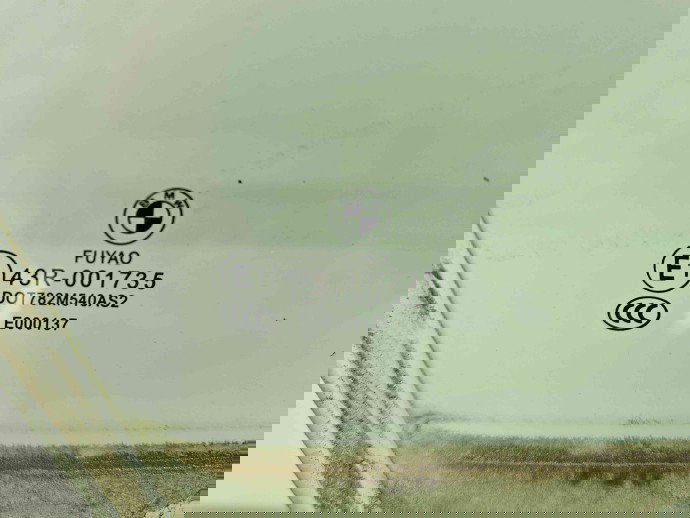 Geam usa dreapta fata Bmw 1 (F20) [Fabr 2011-2017] OEM