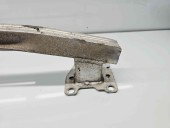 Armatura bara spate Renault Scenic 3 [Fabr 2009-2015] OEM