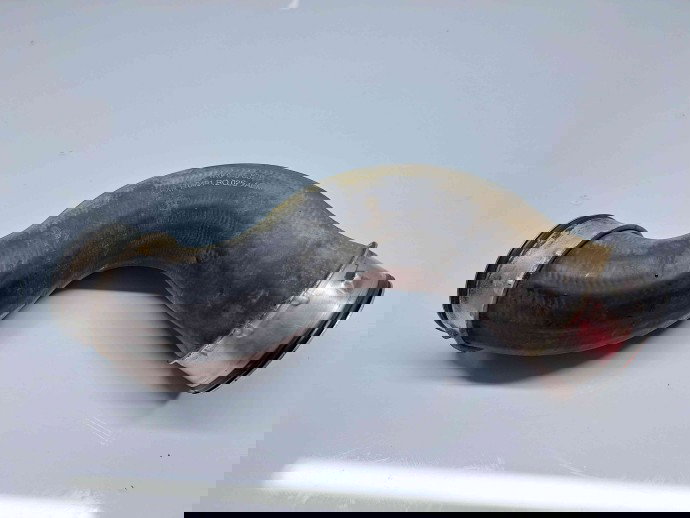 Furtun intercooler Volkswagen Golf 5 Plus (5M1) [Fabr 2005-2008] 1K0145832B 1.9 TDI BKC 77KW / 105CP