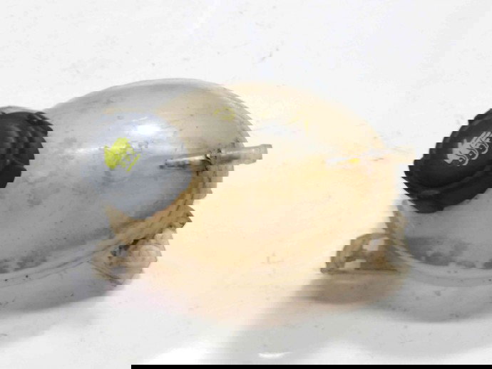 Vas expansiune 217107259R Dacia Logan 2 1.5 K9K 2012-2022