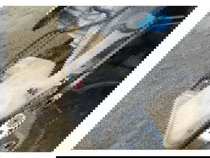 Vas strop gel Toyota Yaris 1.4 Diesel OEM 2005-2011