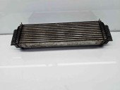 Radiator intercooler Bmw 5 (F10) [Fabr 2011-2016] 7805629 2.0 N47D20 135KW / 184CP