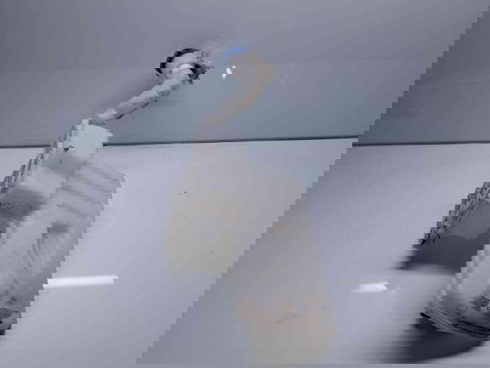  Vas lichid parbriz Skoda Superb III (3V3) [Fabr 2015-prezent] 5Q0955448