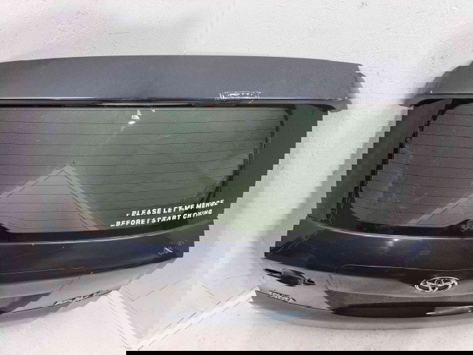 Haion Toyota Rav 4 III (ACA3, ACE, ALA3, GSA3, ZSA3) [Fabr 2005-2013] Facelift 1H2