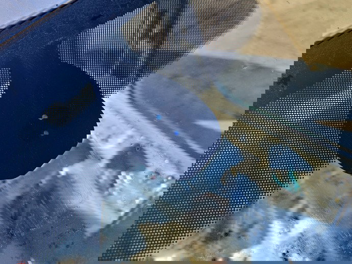  Senzor ploaie Skoda Superb III (3V3) [Fabr 2015-prezent] 5Q0955547B