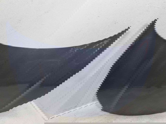 Capota motor Kia Sportage IV [Fabr 2016-2025] PLANET BLUE