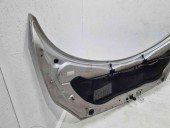 Capota motor Renault Scenic 2 [Fabr 2003-2008] TED69