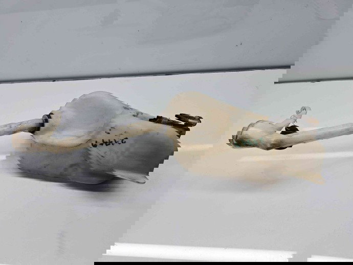  Vas lichid parbriz Nissan Qashqai [Fabr 2007-2014] 28910JD000