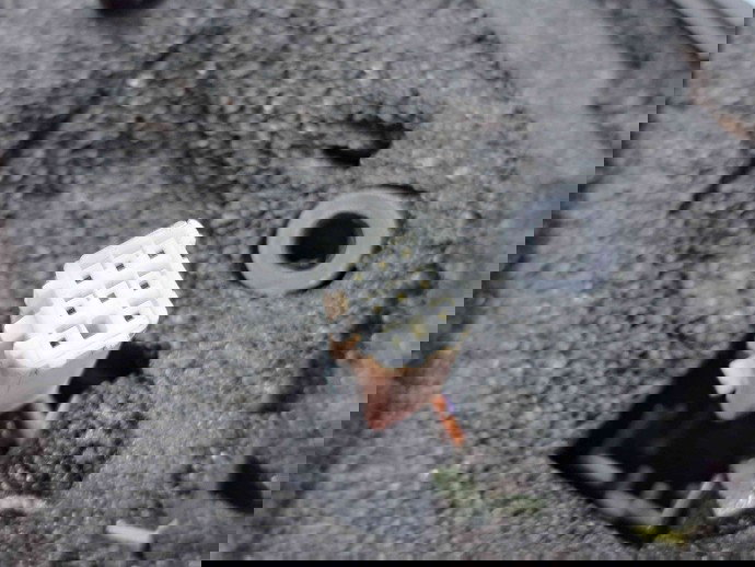 Oglinda dreapta MAZDA 3 II Hatchback Facelift [Fabr 2011-2013] SILVER